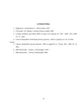 Individuali (personalinė) įmonė 14 puslapis