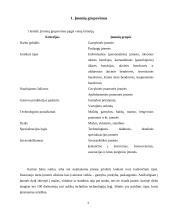 Individuali (personalinė) įmonė 3 puslapis