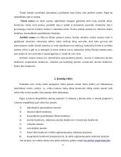 Individuali (personalinė) įmonė 4 puslapis