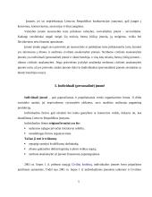 Individuali (personalinė) įmonė 5 puslapis