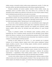 Individuali (personalinė) įmonė 6 puslapis