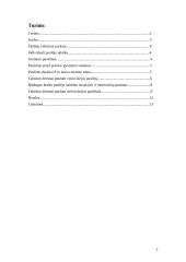 Individuali žaidėjo taktika puolime 2 puslapis