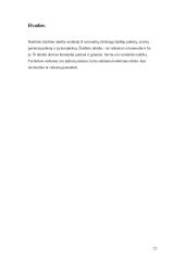 Individuali žaidėjo taktika puolime 12 puslapis