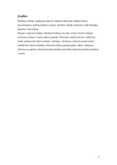 Individuali žaidėjo taktika puolime 3 puslapis