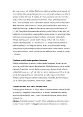 Individuali žaidėjo taktika puolime 5 puslapis