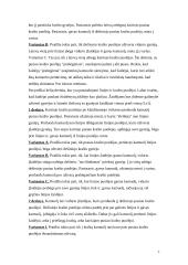 Individuali žaidėjo taktika puolime 7 puslapis