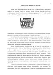 Homoerotizmas Platono "Puotoje" 4 puslapis