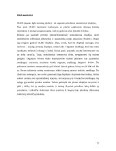 Informacijos pateikimo technologijų tendencijos 11 puslapis