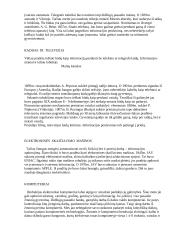 Informacijos bei informacinių technologijų raida 2 puslapis