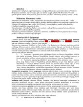 Informacinių technologijų sąvokos 11 puslapis