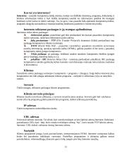 Informacinių technologijų sąvokos 13 puslapis