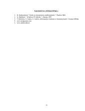 Informacinių technologijų sąvokos 15 puslapis