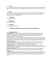 Informacinių technologijų sąvokos 4 puslapis