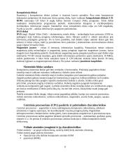 Informacinių technologijų sąvokos 8 puslapis