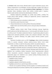 Intelektas (referatas) 3 puslapis