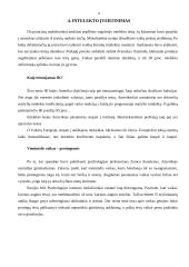 Intelekto supratimas bei kūrybingumas 7 puslapis