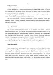 Intelekto supratimas bei kūrybingumas 8 puslapis