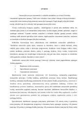 Intelektinės nuosavybės licencijavimas 2 puslapis