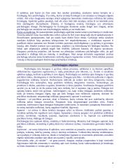 Kaip galimas psichologijos mokslas? 4 puslapis