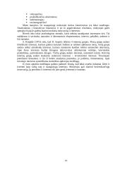 Interesai ir mokymasis 13 puslapis