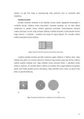 Kokybės samprata poligrafijoje ir kokybės parametrai poligrafijoje 11 puslapis