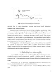 Kokybės samprata poligrafijoje ir kokybės parametrai poligrafijoje 5 puslapis