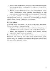 INTOSAI veikla ir leidiniai 11 puslapis