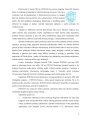 INTOSAI veikla ir leidiniai 4 puslapis