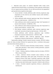 INTOSAI veikla ir leidiniai 6 puslapis