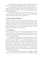 INTOSAI veikla ir leidiniai 8 puslapis