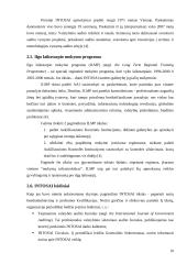 INTOSAI veikla ir leidiniai 10 puslapis