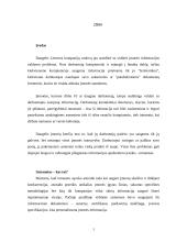 Intranetas - įmonės informacijos valdymo įrankis 2 puslapis