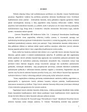 Laisvės atėmimo kaip kriminalinės bausmės efektyvumas 2 puslapis