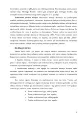Lyderystė ir vadovavimas 8 puslapis