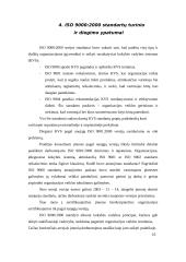 ISO 9000 serijos standartai 14 puslapis