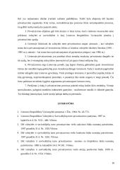 Lietuvos privatizavimo politikos įgyvendinimas (1990-2007) 18 puslapis