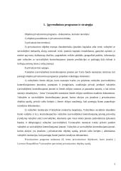 Lietuvos privatizavimo politikos įgyvendinimas (1990-2007) 3 puslapis