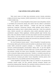 Lietuvos privatizavimo politikos įgyvendinimas (1990-2007) 10 puslapis