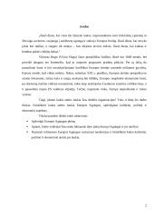 Išsiplėtusios Europos Sąjungos kultūrinė, politinė ir ekonominė ateitis 2 puslapis