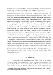 Išsiplėtusios Europos Sąjungos kultūrinė, politinė ir ekonominė ateitis 11 puslapis