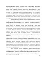 Išsiplėtusios Europos Sąjungos kultūrinė, politinė ir ekonominė ateitis 12 puslapis