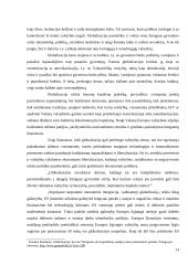 Išsiplėtusios Europos Sąjungos kultūrinė, politinė ir ekonominė ateitis 13 puslapis