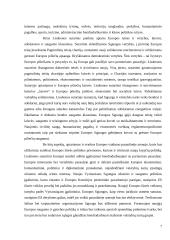 Išsiplėtusios Europos Sąjungos kultūrinė, politinė ir ekonominė ateitis 7 puslapis