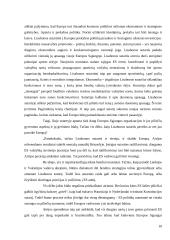 Išsiplėtusios Europos Sąjungos kultūrinė, politinė ir ekonominė ateitis 10 puslapis