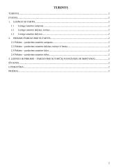 Lizingo ir pirkimo-pardavimo sutarčių palyginimas 2 puslapis