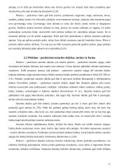 Lizingo ir pirkimo-pardavimo sutarčių palyginimas 11 puslapis