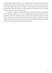 Lizingo ir pirkimo-pardavimo sutarčių palyginimas 19 puslapis