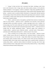 Lizingo ir pirkimo-pardavimo sutarčių palyginimas 20 puslapis