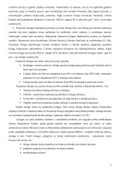 Lizingo ir pirkimo-pardavimo sutarčių palyginimas 5 puslapis