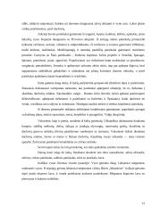 Italų virtuvė 11 puslapis